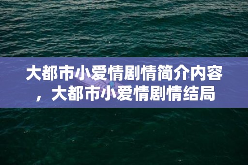 大都市小爱情剧情简介内容，大都市小爱情剧情结局