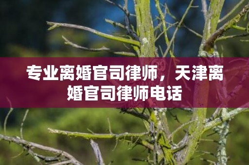 专业离婚官司律师，天津离婚官司律师电话