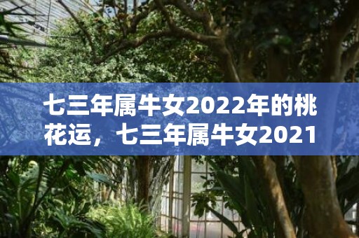 七三年属牛女2022年的桃花运，七三年属牛女2021年的运势 生肖牛在东南方摆放吉祥物