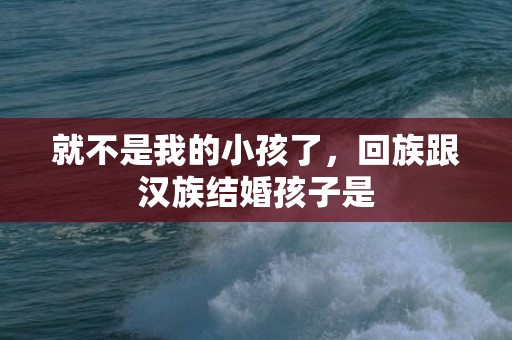 就不是我的小孩了，回族跟汉族结婚孩子是