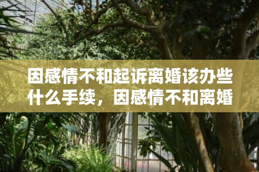 因感情不和起诉离婚该办些什么手续，因感情不和离婚协议范文