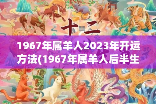 1967年属羊人2023年开运方法(1967年属羊人后半生的命运)