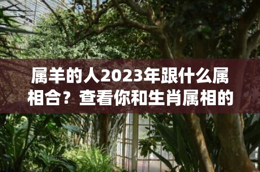 属羊的人2023年跟什么属相合？查看你和生肖属相的匹配程度！(属羊的人2023年的运势及运程每月)