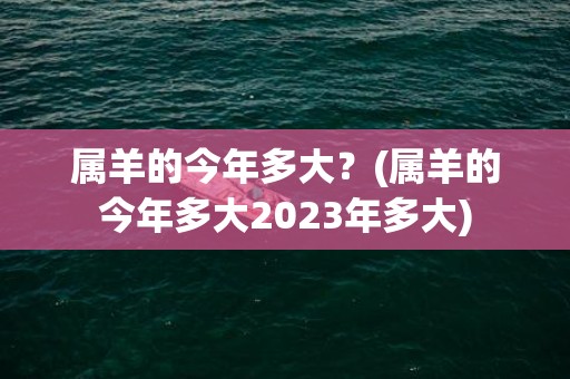 属羊的今年多大？(属羊的今年多大2023年多大)