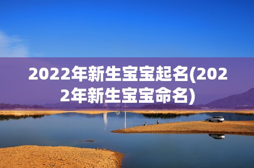 2022年新生宝宝起名(2022年新生宝宝命名)