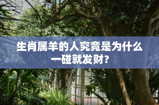 生肖属羊的人究竟是为什么一碰就发财？