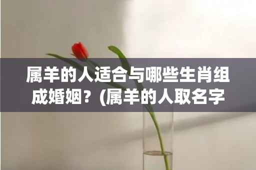 属羊的人适合与哪些生肖组成婚姻？(属羊的人取名字用什么字好)