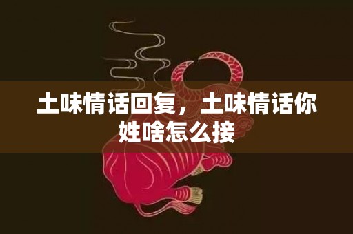 土味情话回复，土味情话你姓啥怎么接