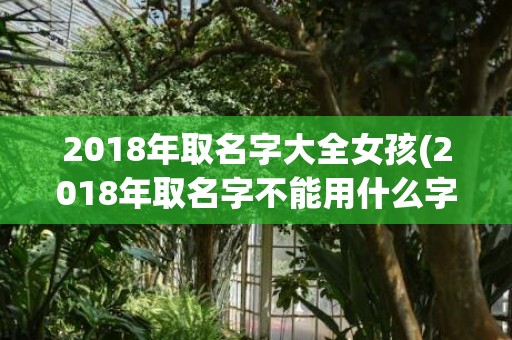 2018年取名字大全女孩(2018年取名字不能用什么字)