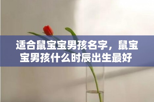 适合鼠宝宝男孩名字，鼠宝宝男孩什么时辰出生最好 及未来命运