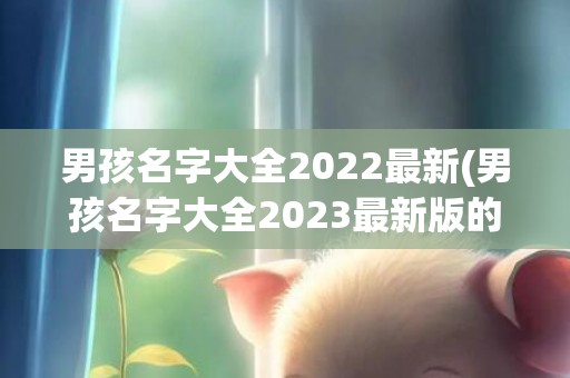 男孩名字大全2022最新(男孩名字大全2023最新版的属鸡)