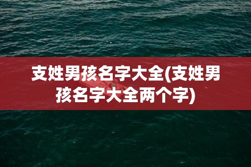 支姓男孩名字大全(支姓男孩名字大全两个字)