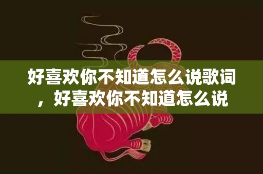 好喜欢你不知道怎么说歌词，好喜欢你不知道怎么说