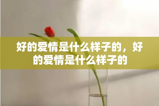 好的爱情是什么样子的，好的爱情是什么样子的