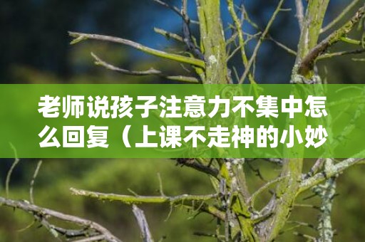 老师说孩子注意力不集中怎么回复（上课不走神的小妙招）