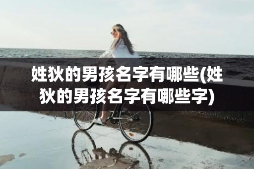 姓狄的男孩名字有哪些(姓狄的男孩名字有哪些字)