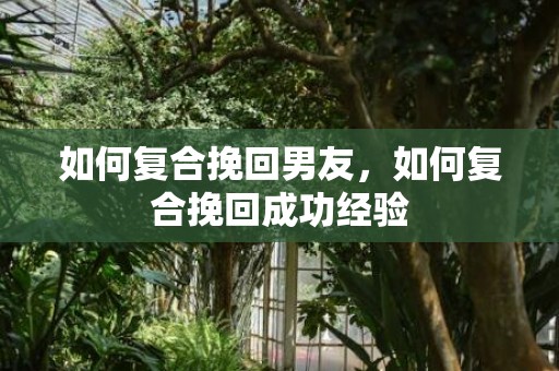 如何复合挽回男友，如何复合挽回成功经验