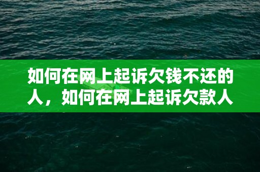 如何在网上起诉欠钱不还的人，如何在网上起诉欠款人诈骗