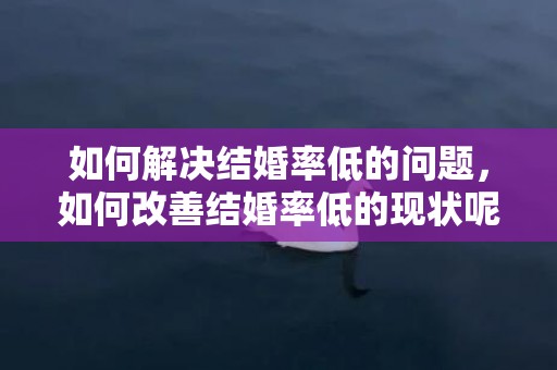 如何解决结婚率低的问题，如何改善结婚率低的现状呢