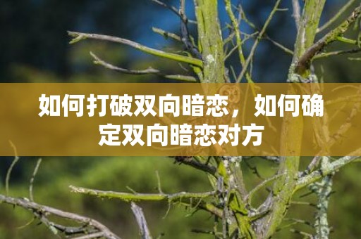 如何打破双向暗恋，如何确定双向暗恋对方