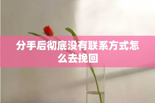 分手后彻底没有联系方式怎么去挽回