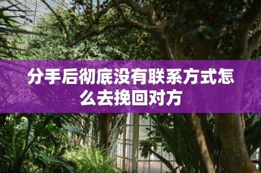 分手后彻底没有联系方式怎么去挽回对方