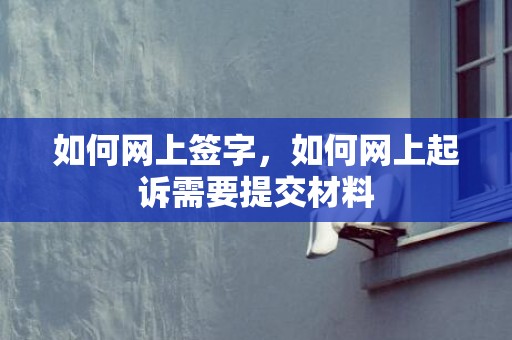 如何网上签字，如何网上起诉需要提交材料