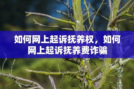 如何网上起诉抚养权，如何网上起诉抚养费诈骗