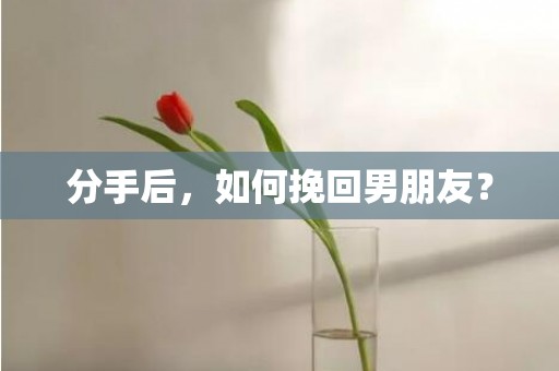 分手后，如何挽回男朋友？