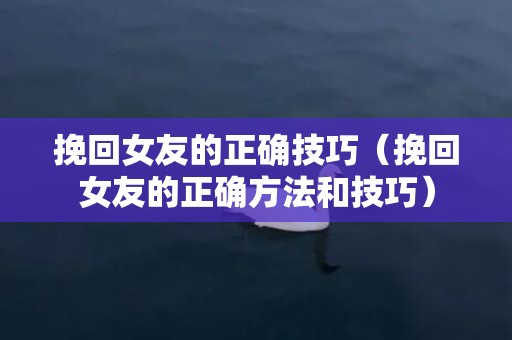 挽回女友的正确技巧（挽回女友的正确方法和技巧）