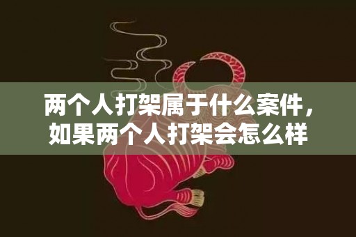 两个人打架属于什么案件，如果两个人打架会怎么样