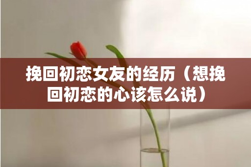 挽回初恋女友的经历（想挽回初恋的心该怎么说）