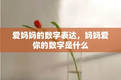 爱妈妈的数字表达，妈妈爱你的数字是什么