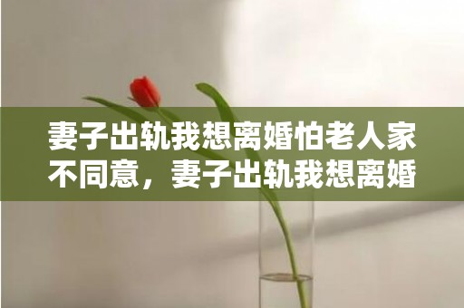 妻子出轨我想离婚怕老人家不同意，妻子出轨我想离婚太难受了