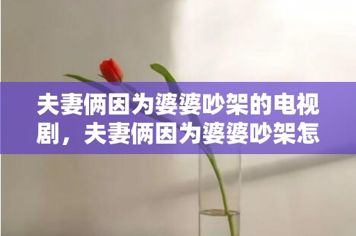 夫妻俩因为婆婆吵架的电视剧，夫妻俩因为婆婆吵架怎么办