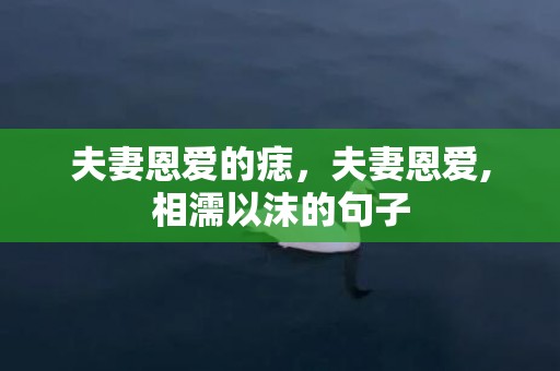 夫妻恩爱的痣，夫妻恩爱,相濡以沫的句子