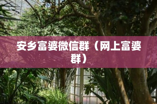 安乡富婆微信群（网上富婆群）