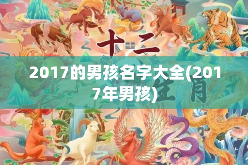 2017的男孩名字大全(2017年男孩)