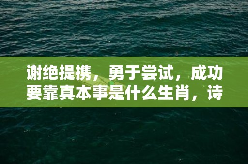 谢绝提携，勇于尝试，成功要靠真本事是什么生肖，诗词解答落实