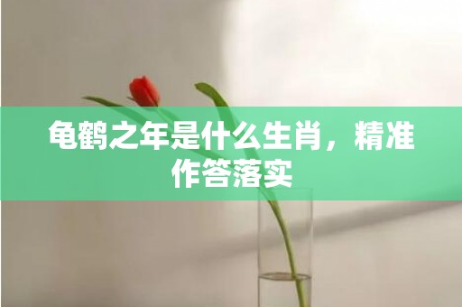 龟鹤之年是什么生肖，精准作答落实