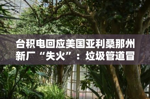 台积电回应美国亚利桑那州新厂“失火”：垃圾管道冒出火苗，第一时间得到控制