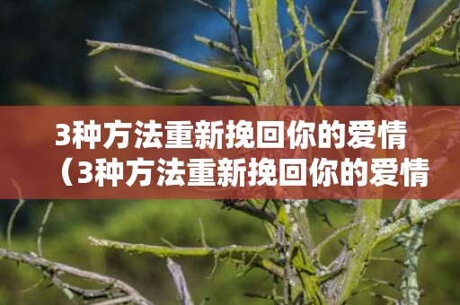 3种方法重新挽回你的爱情（3种方法重新挽回你的爱情说说）