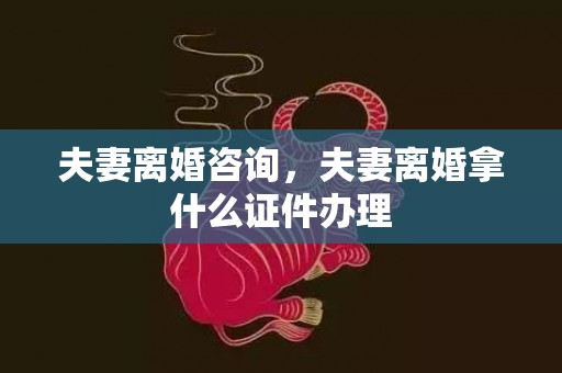 夫妻离婚咨询，夫妻离婚拿什么证件办理