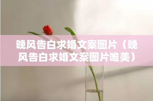 晚风告白求婚文案图片（晚风告白求婚文案图片唯美）