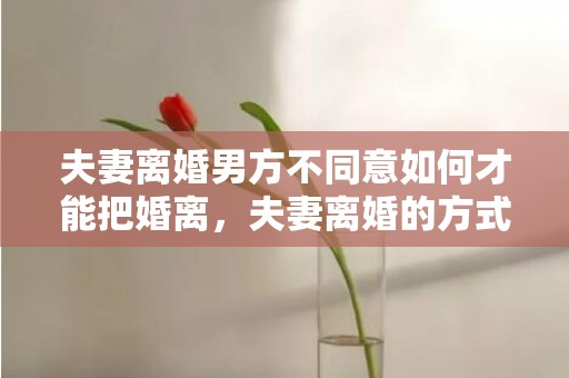 夫妻离婚男方不同意如何才能把婚离，夫妻离婚的方式有几种呢