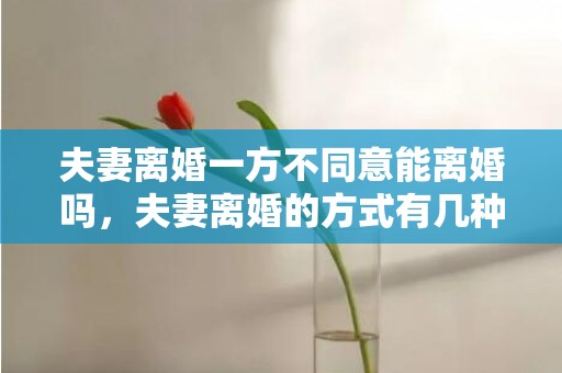 夫妻离婚一方不同意能离婚吗，夫妻离婚的方式有几种分类