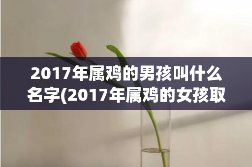 2017年属鸡的男孩叫什么名字(2017年属鸡的女孩取什么名字好)