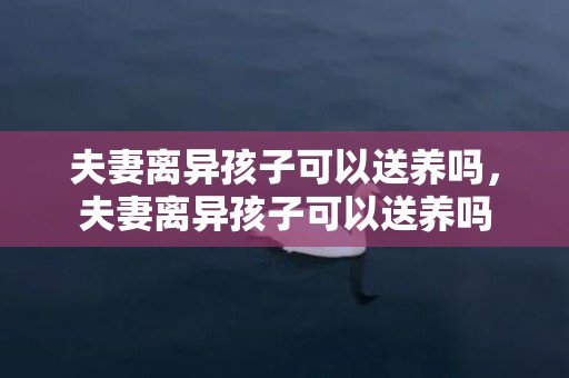 夫妻离异孩子可以送养吗，夫妻离异孩子可以送养吗