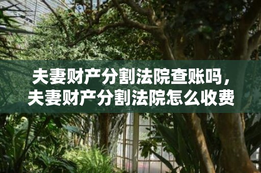 夫妻财产分割法院查账吗，夫妻财产分割法院怎么收费