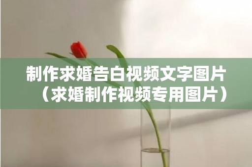 制作求婚告白视频文字图片（求婚制作视频专用图片）